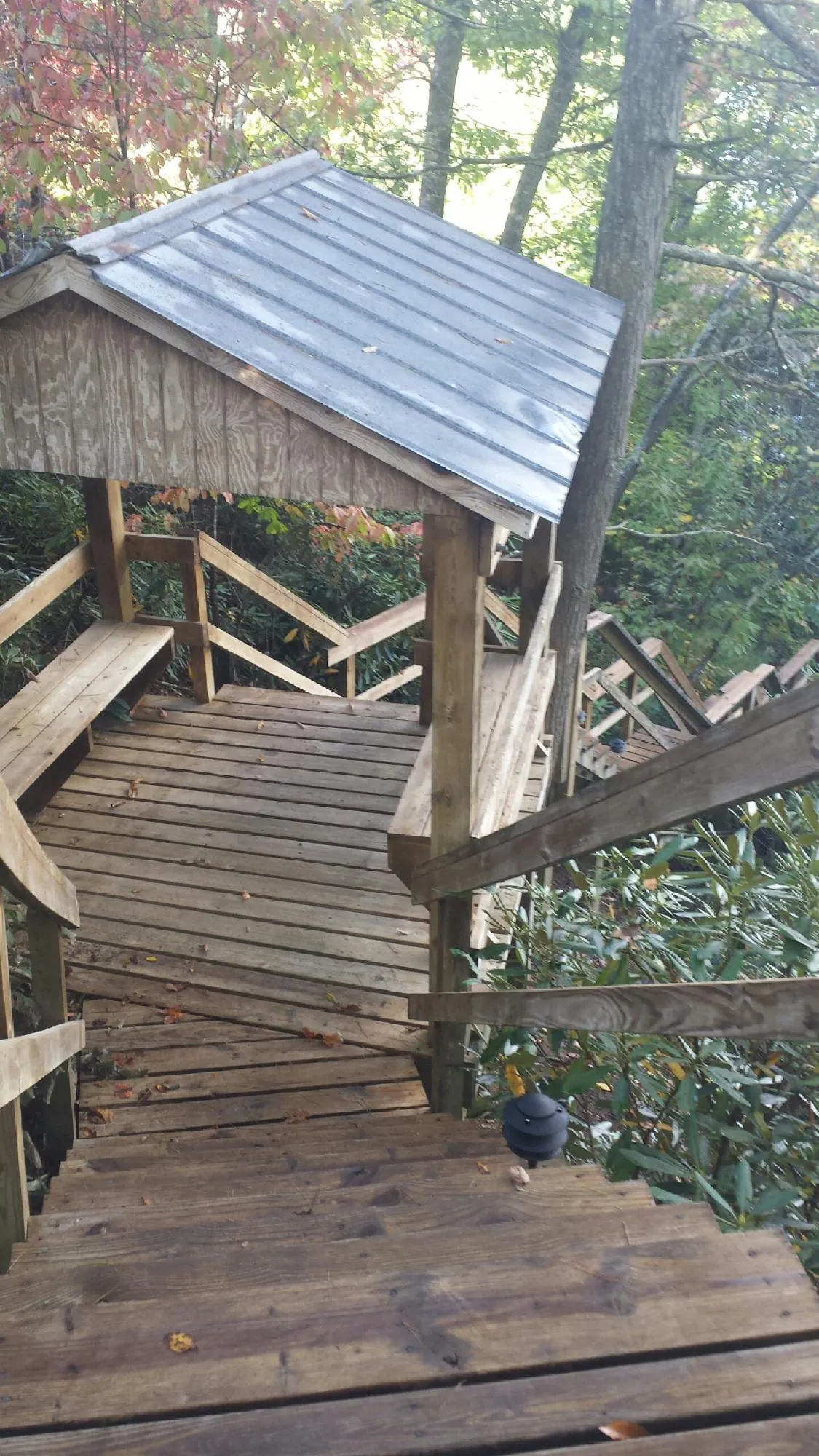Metal roofed shelter over wooden steps on a wooded walkway — Skylight Repair & Installation work by our crew in Port Hadlock