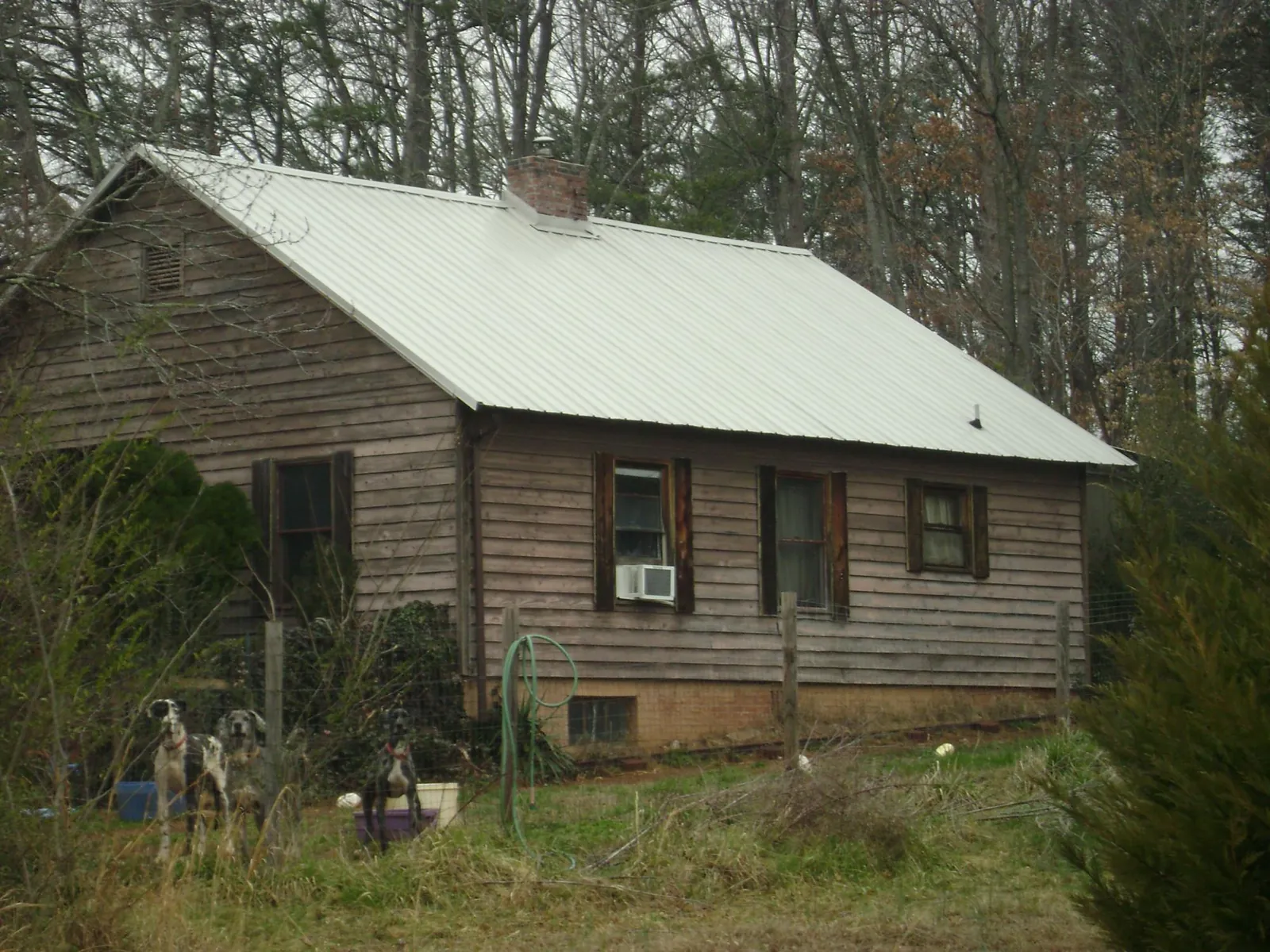 White metal roof on an old wood sided farmhouse, from a Metal Roof Installation job in Port Hadlock